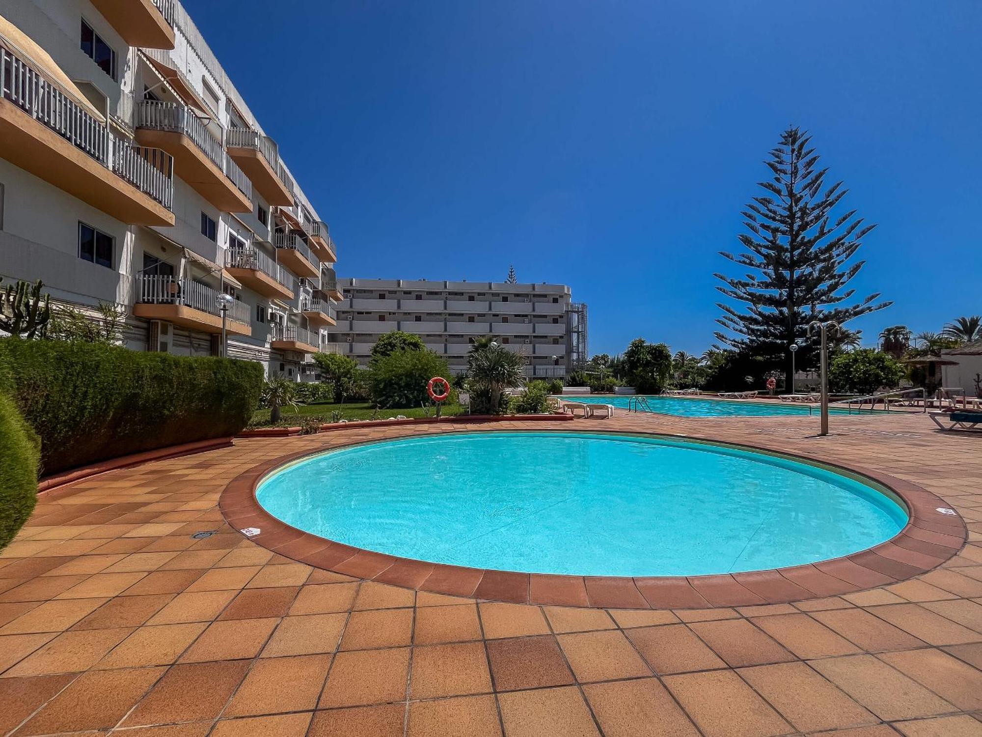 Lightbooking Tenesor 115 Playa Del Ingles Εξωτερικό φωτογραφία
